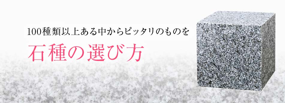 石種の選び方